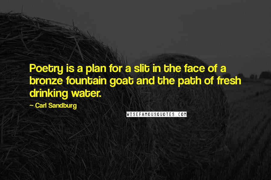 Carl Sandburg Quotes: Poetry is a plan for a slit in the face of a bronze fountain goat and the path of fresh drinking water.