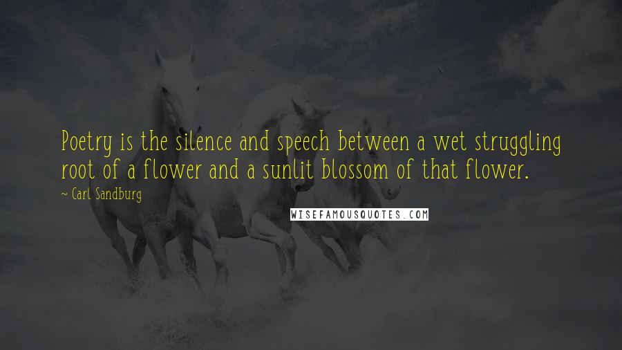 Carl Sandburg Quotes: Poetry is the silence and speech between a wet struggling root of a flower and a sunlit blossom of that flower.