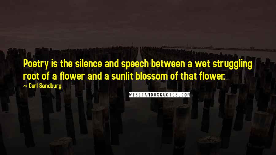 Carl Sandburg Quotes: Poetry is the silence and speech between a wet struggling root of a flower and a sunlit blossom of that flower.