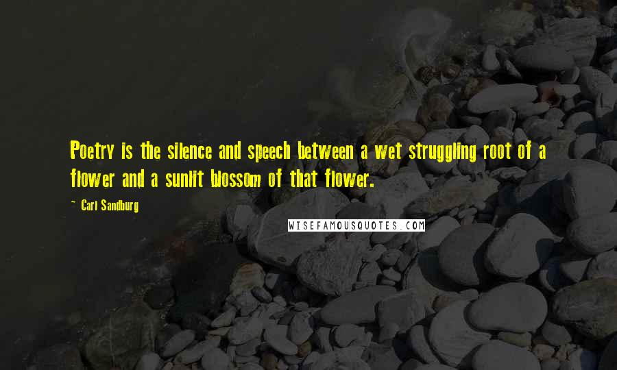 Carl Sandburg Quotes: Poetry is the silence and speech between a wet struggling root of a flower and a sunlit blossom of that flower.