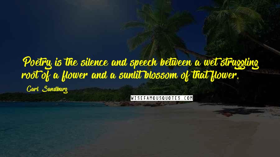 Carl Sandburg Quotes: Poetry is the silence and speech between a wet struggling root of a flower and a sunlit blossom of that flower.