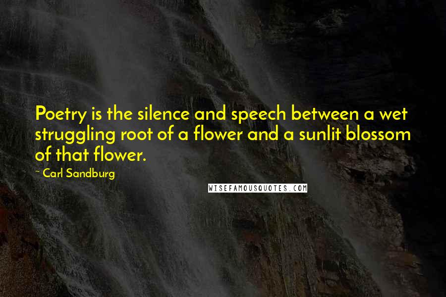 Carl Sandburg Quotes: Poetry is the silence and speech between a wet struggling root of a flower and a sunlit blossom of that flower.