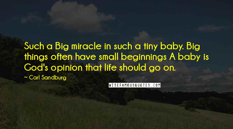 Carl Sandburg Quotes: Such a Big miracle in such a tiny baby. Big things often have small beginnings A baby is God's opinion that life should go on.