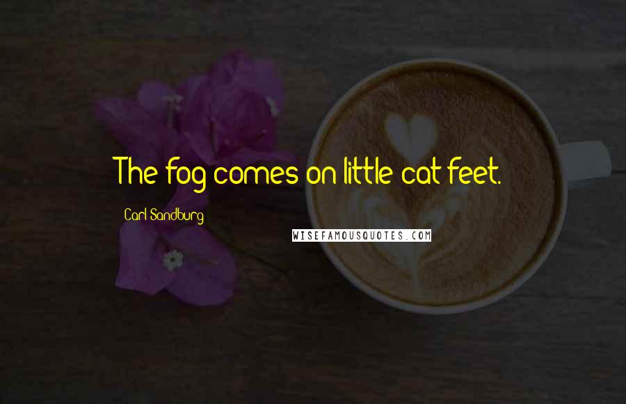 Carl Sandburg Quotes: The fog comes on little cat feet.