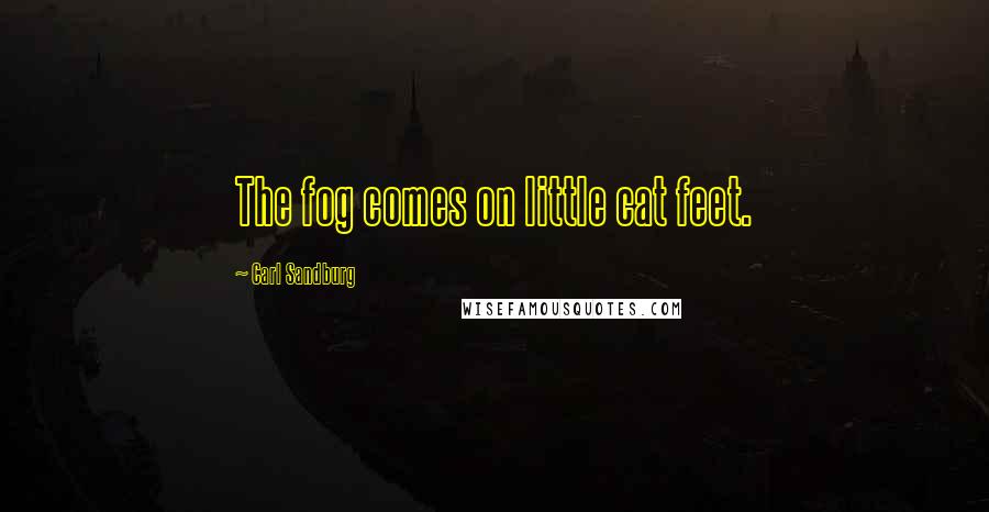 Carl Sandburg Quotes: The fog comes on little cat feet.