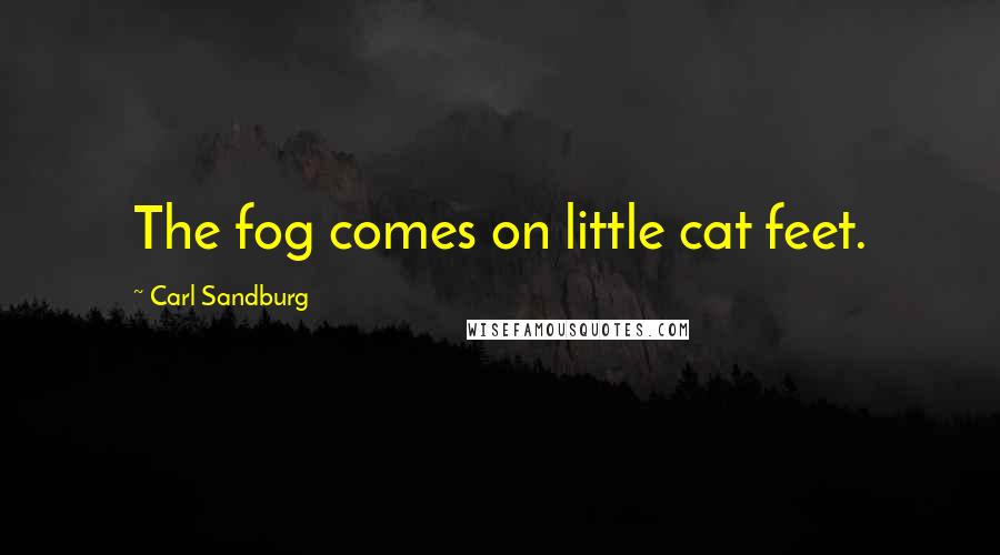 Carl Sandburg Quotes: The fog comes on little cat feet.