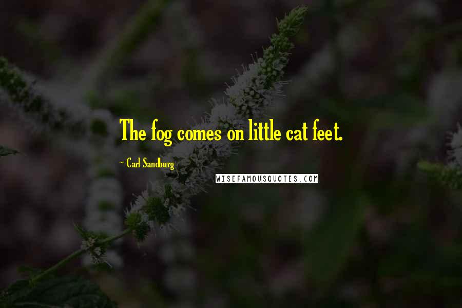 Carl Sandburg Quotes: The fog comes on little cat feet.