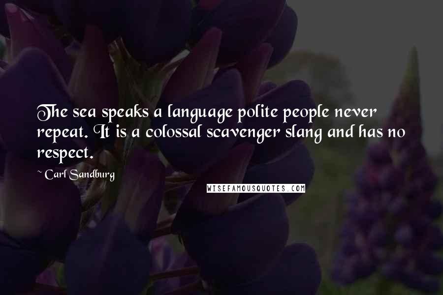 Carl Sandburg Quotes: The sea speaks a language polite people never repeat. It is a colossal scavenger slang and has no respect.