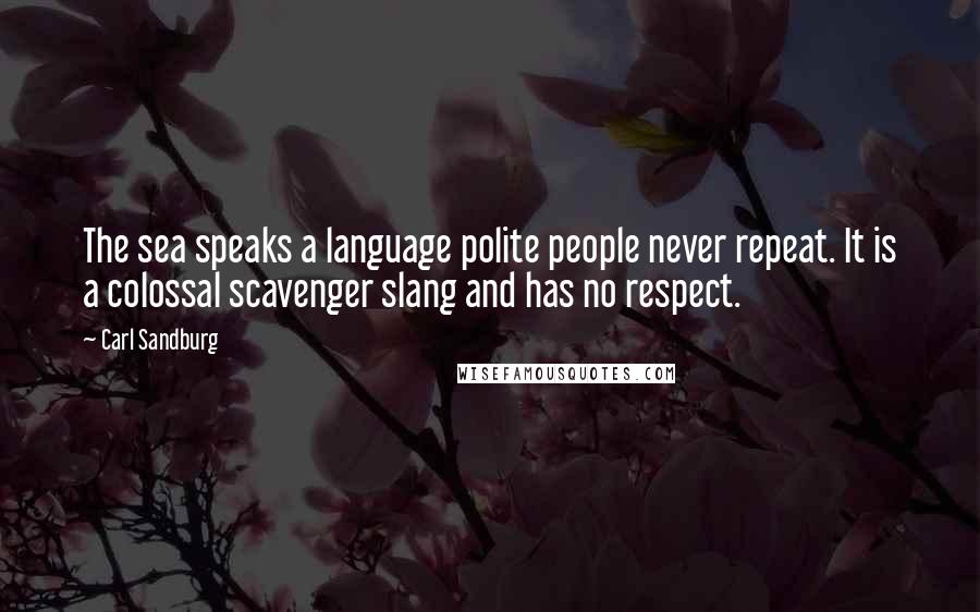 Carl Sandburg Quotes: The sea speaks a language polite people never repeat. It is a colossal scavenger slang and has no respect.