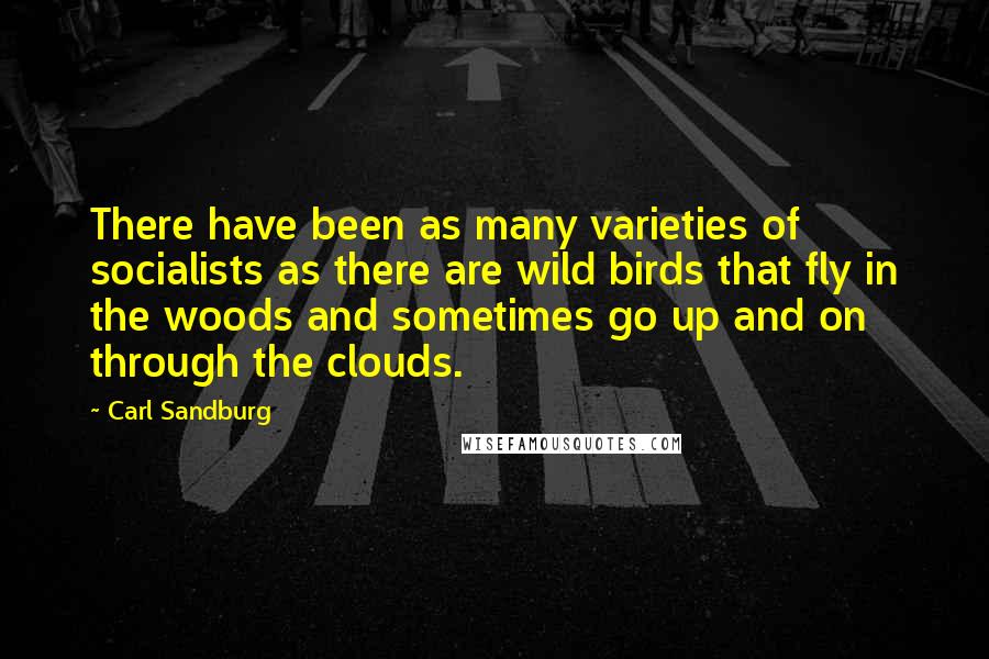 Carl Sandburg Quotes: There have been as many varieties of socialists as there are wild birds that fly in the woods and sometimes go up and on through the clouds.