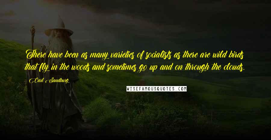 Carl Sandburg Quotes: There have been as many varieties of socialists as there are wild birds that fly in the woods and sometimes go up and on through the clouds.
