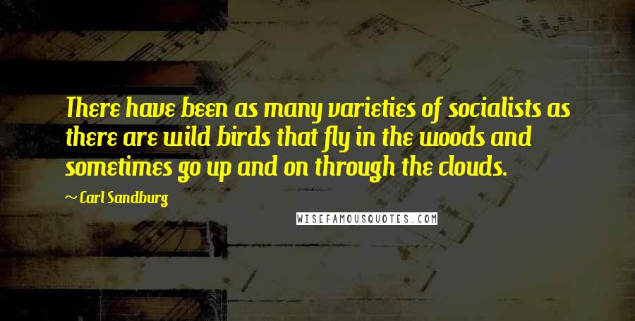 Carl Sandburg Quotes: There have been as many varieties of socialists as there are wild birds that fly in the woods and sometimes go up and on through the clouds.