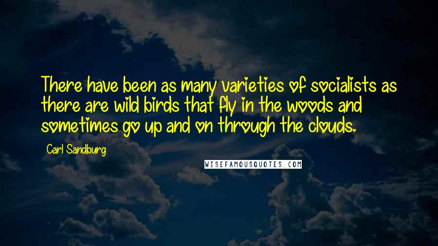 Carl Sandburg Quotes: There have been as many varieties of socialists as there are wild birds that fly in the woods and sometimes go up and on through the clouds.