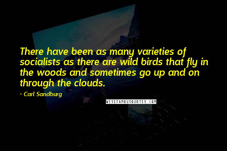 Carl Sandburg Quotes: There have been as many varieties of socialists as there are wild birds that fly in the woods and sometimes go up and on through the clouds.