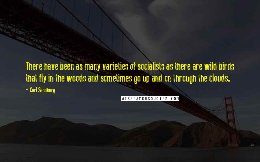 Carl Sandburg Quotes: There have been as many varieties of socialists as there are wild birds that fly in the woods and sometimes go up and on through the clouds.