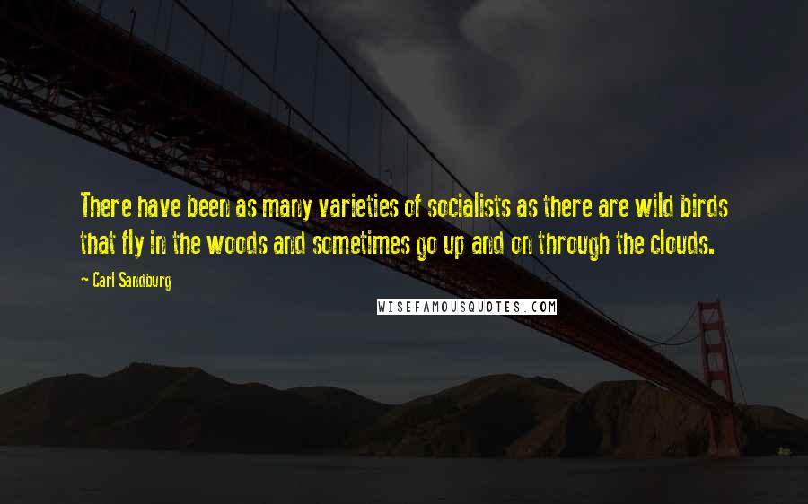 Carl Sandburg Quotes: There have been as many varieties of socialists as there are wild birds that fly in the woods and sometimes go up and on through the clouds.