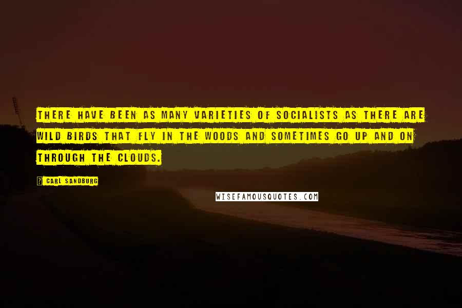 Carl Sandburg Quotes: There have been as many varieties of socialists as there are wild birds that fly in the woods and sometimes go up and on through the clouds.