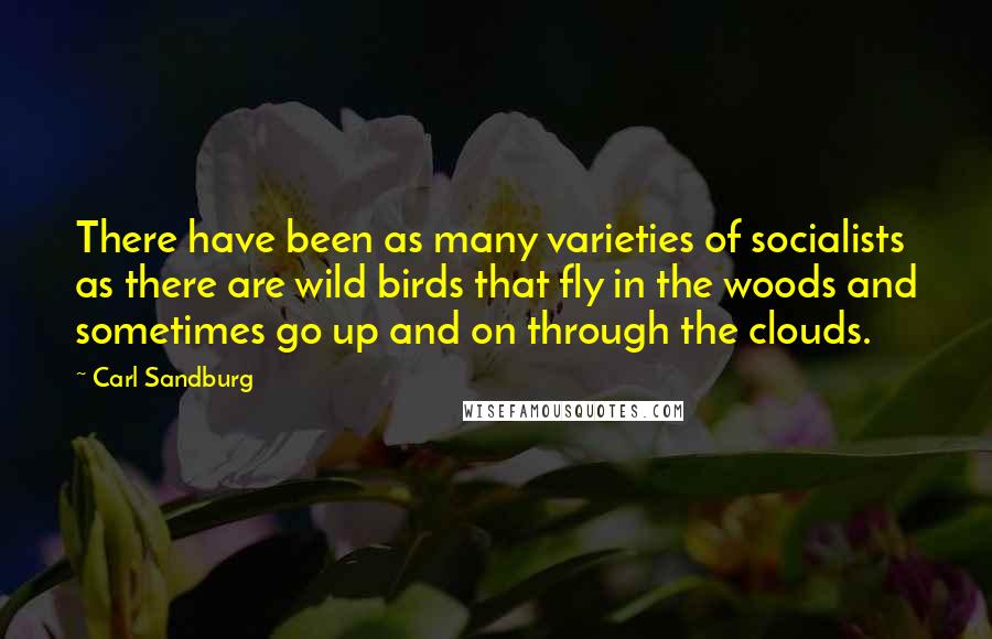 Carl Sandburg Quotes: There have been as many varieties of socialists as there are wild birds that fly in the woods and sometimes go up and on through the clouds.