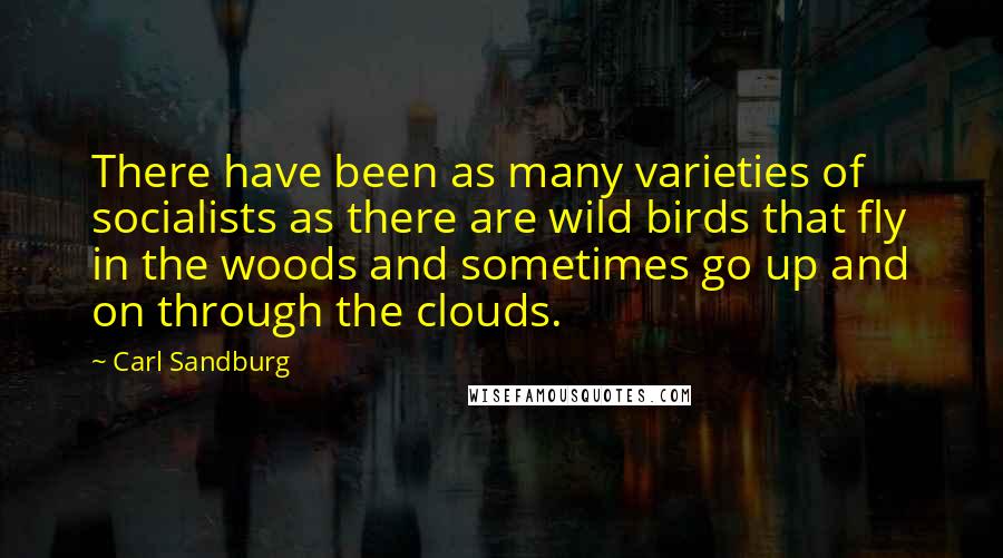 Carl Sandburg Quotes: There have been as many varieties of socialists as there are wild birds that fly in the woods and sometimes go up and on through the clouds.