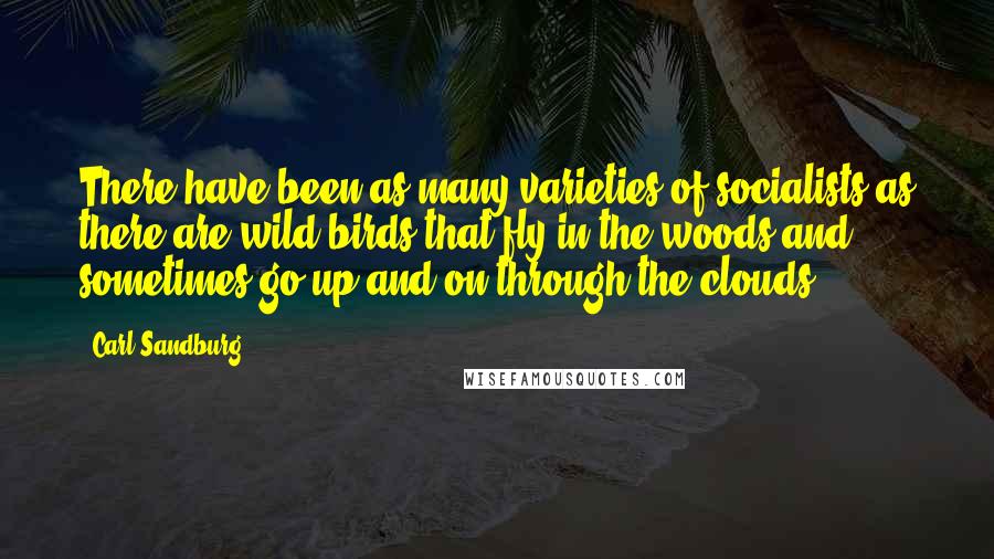 Carl Sandburg Quotes: There have been as many varieties of socialists as there are wild birds that fly in the woods and sometimes go up and on through the clouds.