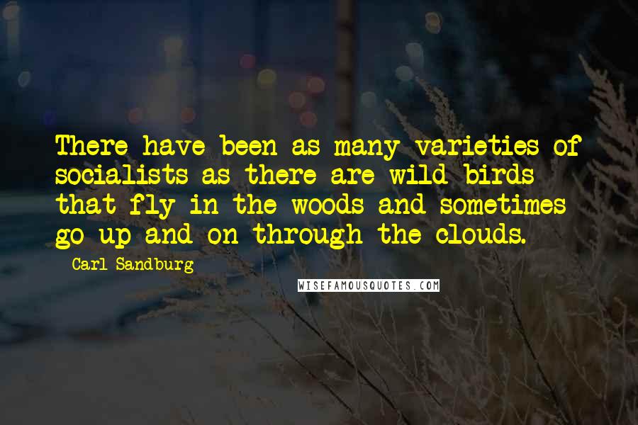 Carl Sandburg Quotes: There have been as many varieties of socialists as there are wild birds that fly in the woods and sometimes go up and on through the clouds.