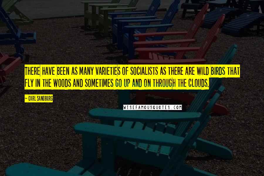 Carl Sandburg Quotes: There have been as many varieties of socialists as there are wild birds that fly in the woods and sometimes go up and on through the clouds.