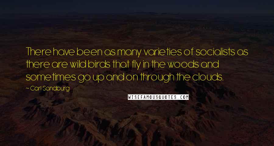 Carl Sandburg Quotes: There have been as many varieties of socialists as there are wild birds that fly in the woods and sometimes go up and on through the clouds.