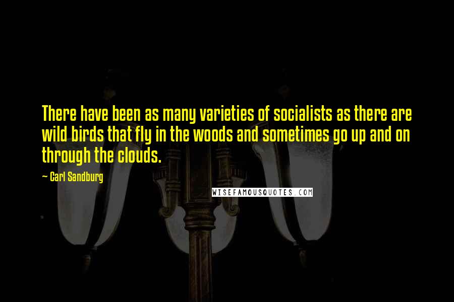 Carl Sandburg Quotes: There have been as many varieties of socialists as there are wild birds that fly in the woods and sometimes go up and on through the clouds.