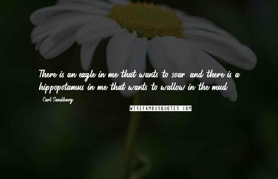 Carl Sandburg Quotes: There is an eagle in me that wants to soar, and there is a hippopotamus in me that wants to wallow in the mud