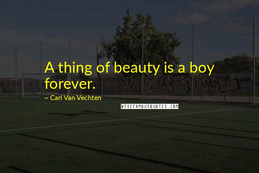 Carl Van Vechten Quotes: A thing of beauty is a boy forever.