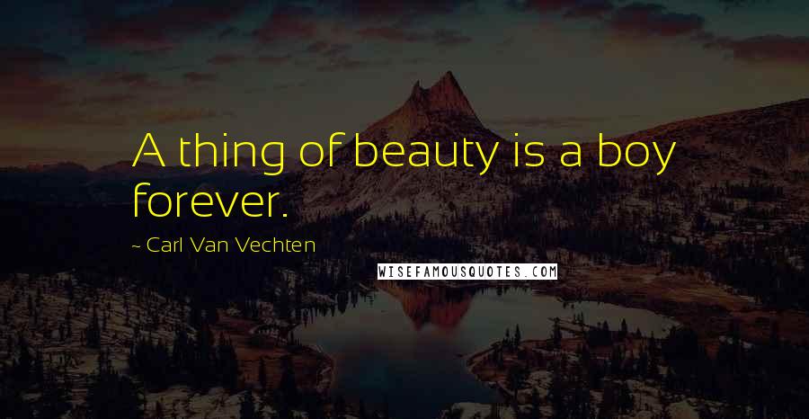 Carl Van Vechten Quotes: A thing of beauty is a boy forever.