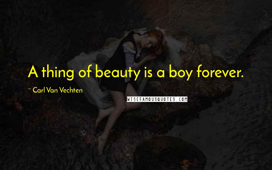 Carl Van Vechten Quotes: A thing of beauty is a boy forever.