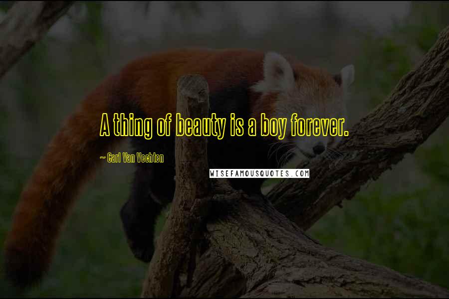 Carl Van Vechten Quotes: A thing of beauty is a boy forever.