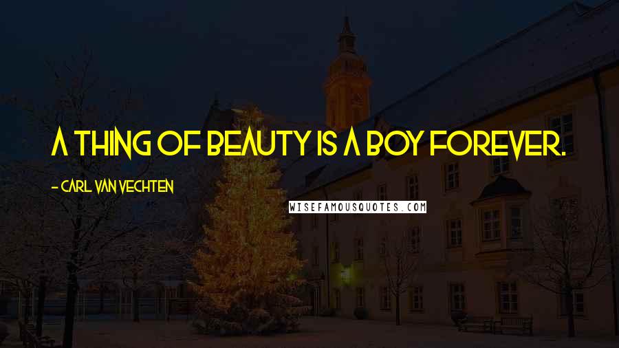 Carl Van Vechten Quotes: A thing of beauty is a boy forever.
