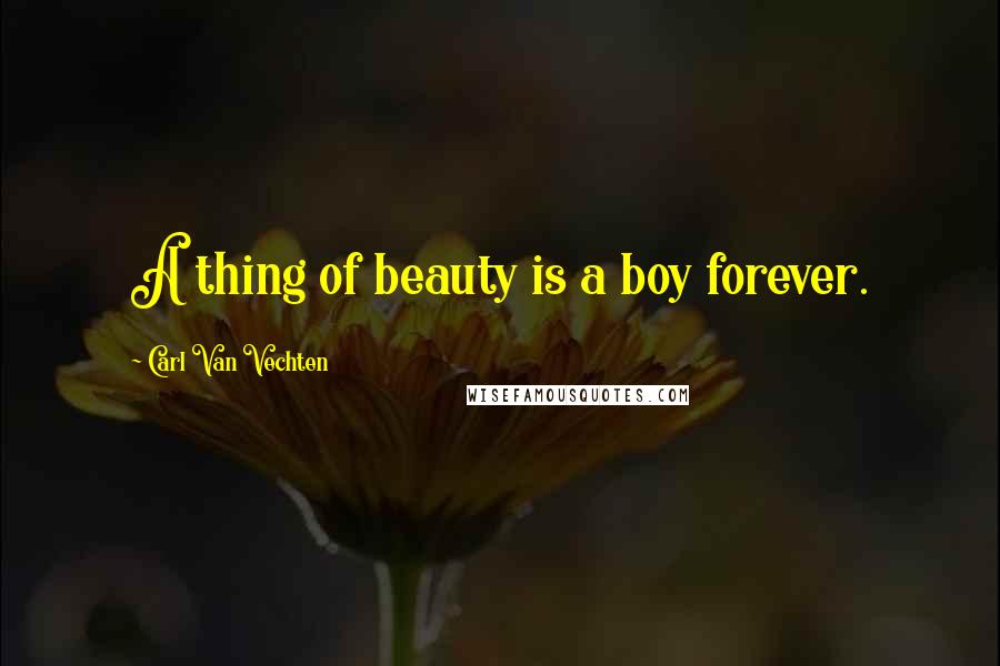 Carl Van Vechten Quotes: A thing of beauty is a boy forever.