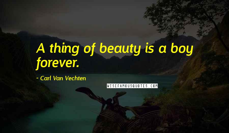 Carl Van Vechten Quotes: A thing of beauty is a boy forever.