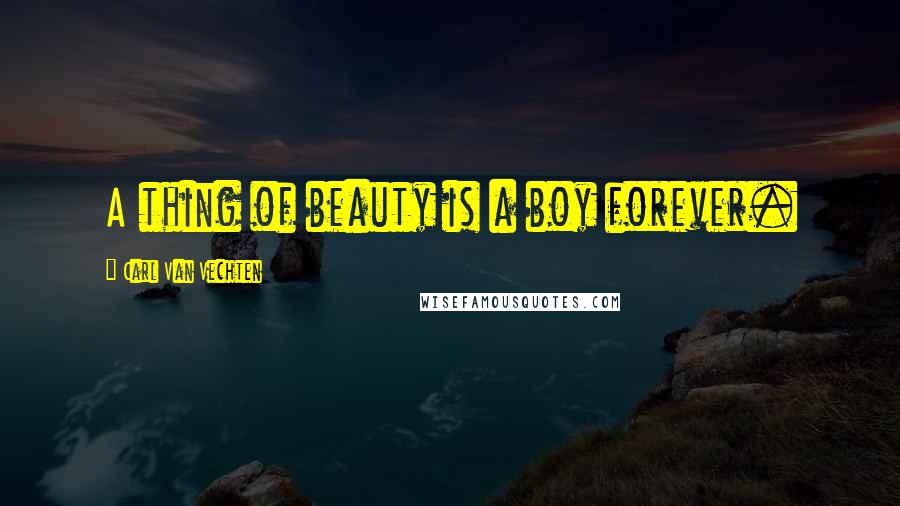 Carl Van Vechten Quotes: A thing of beauty is a boy forever.