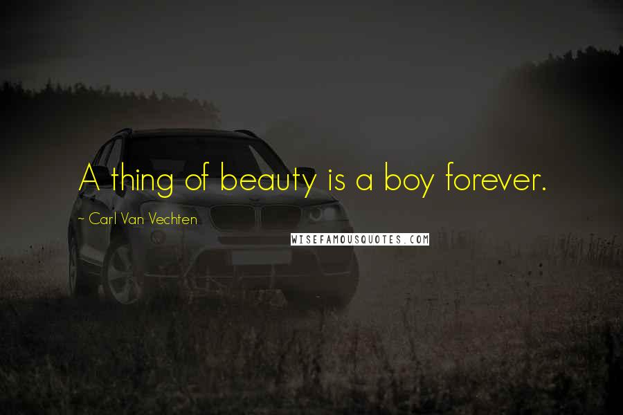 Carl Van Vechten Quotes: A thing of beauty is a boy forever.