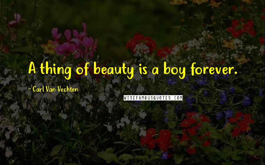 Carl Van Vechten Quotes: A thing of beauty is a boy forever.