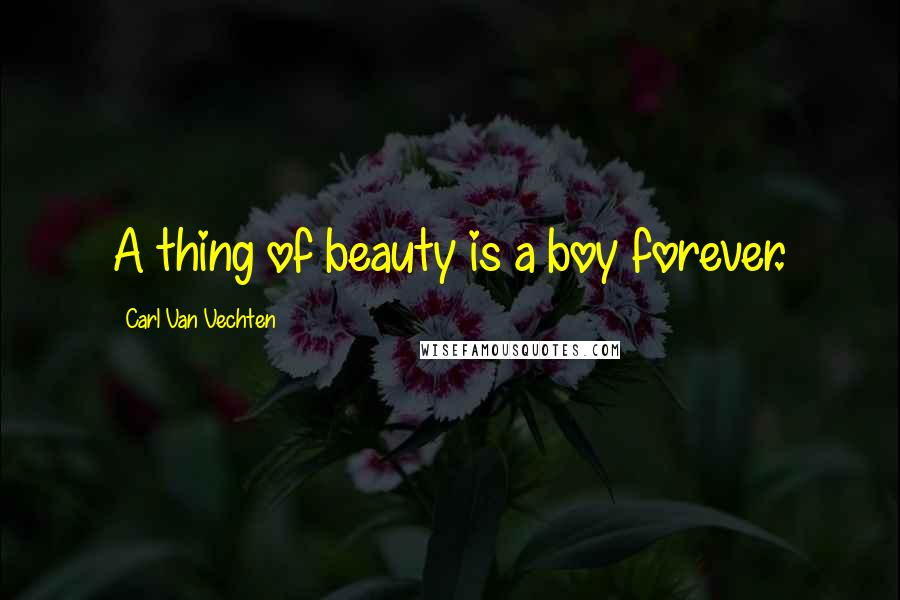 Carl Van Vechten Quotes: A thing of beauty is a boy forever.