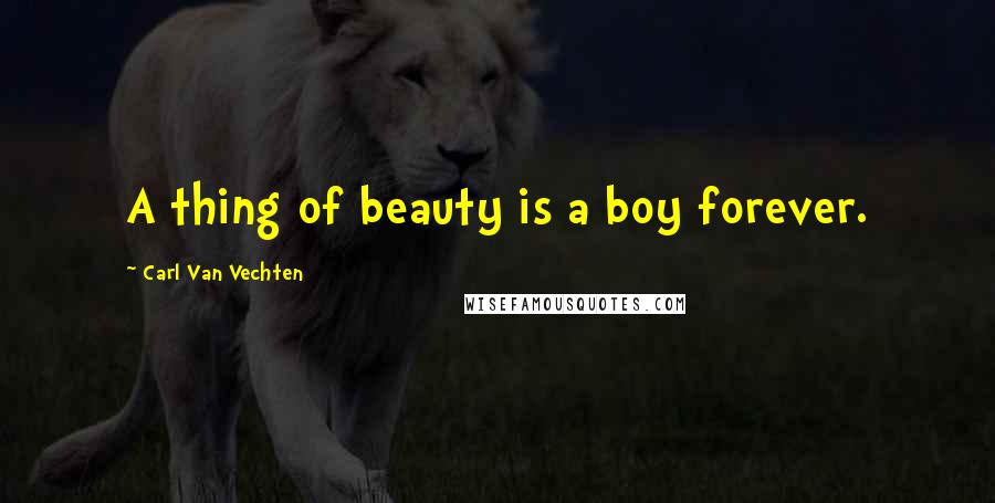 Carl Van Vechten Quotes: A thing of beauty is a boy forever.