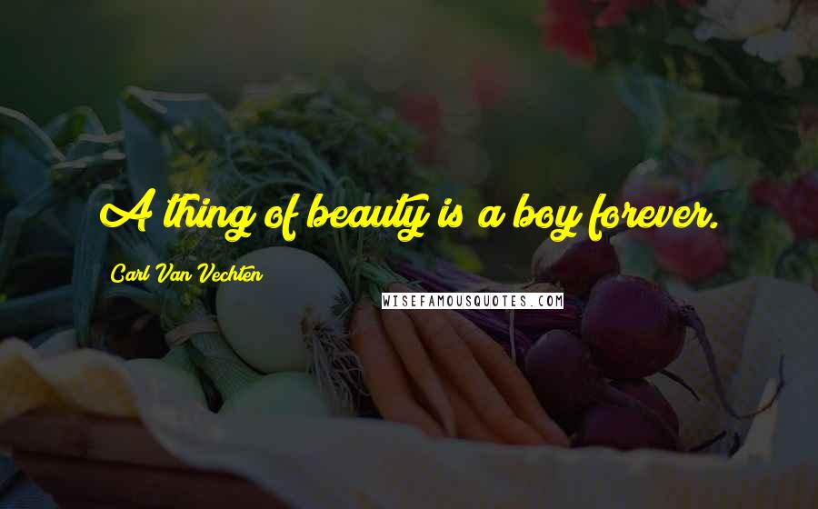 Carl Van Vechten Quotes: A thing of beauty is a boy forever.