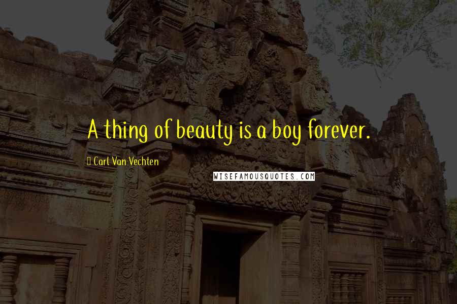 Carl Van Vechten Quotes: A thing of beauty is a boy forever.