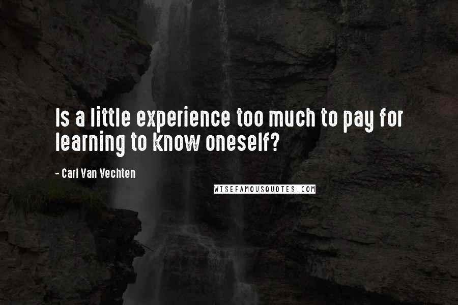 Carl Van Vechten Quotes: Is a little experience too much to pay for learning to know oneself?