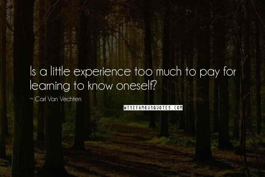 Carl Van Vechten Quotes: Is a little experience too much to pay for learning to know oneself?