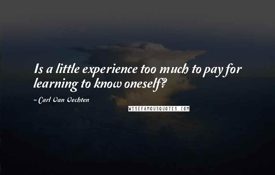 Carl Van Vechten Quotes: Is a little experience too much to pay for learning to know oneself?