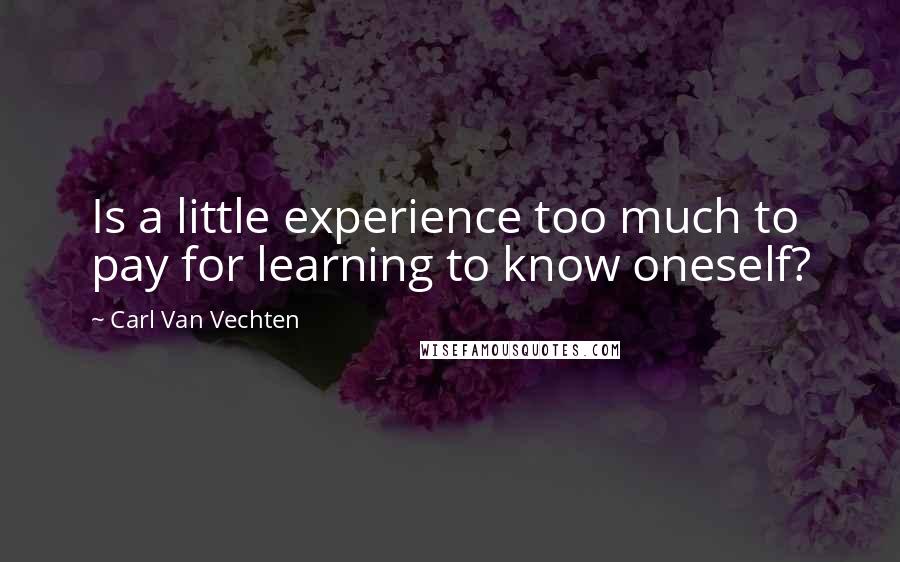 Carl Van Vechten Quotes: Is a little experience too much to pay for learning to know oneself?