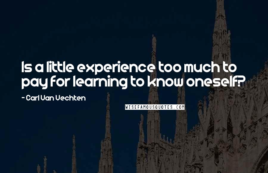 Carl Van Vechten Quotes: Is a little experience too much to pay for learning to know oneself?
