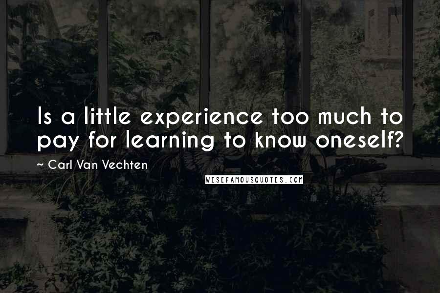 Carl Van Vechten Quotes: Is a little experience too much to pay for learning to know oneself?