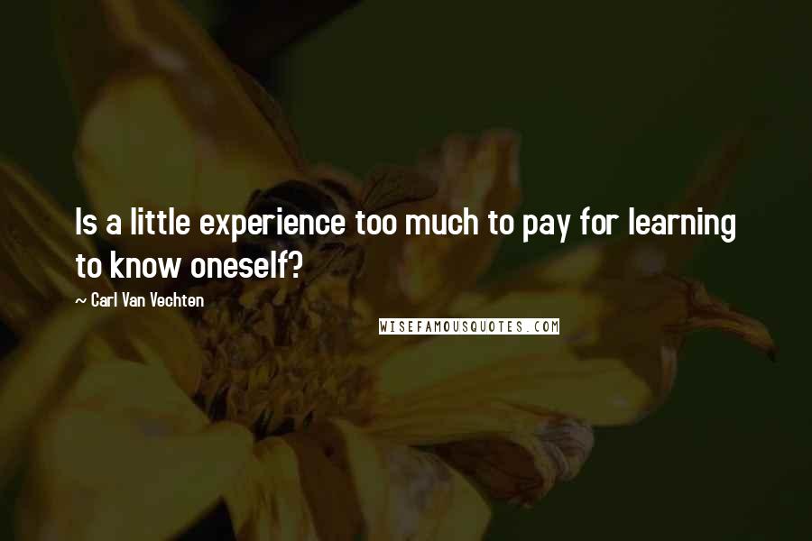 Carl Van Vechten Quotes: Is a little experience too much to pay for learning to know oneself?